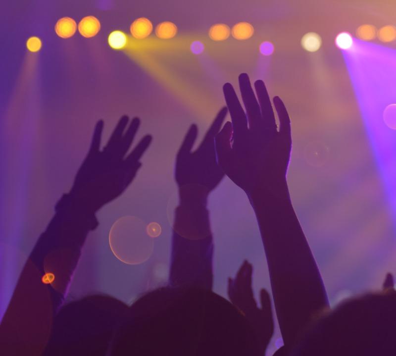 Hands In Air at Concert