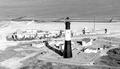 Tybee Island Lighthouse